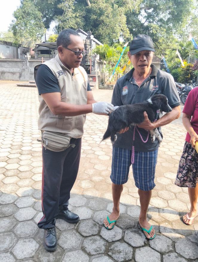 KEGIATAN PAKSIN RABIES
