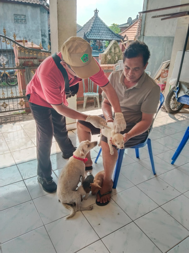 KEGIATAN PAKSIN RABIES